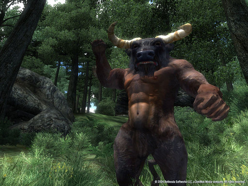 Elder Scrolls IV: Oblivion, The - Официальные скриншоты Oblivion